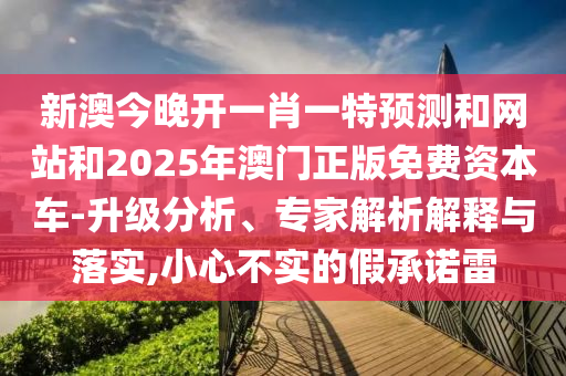 新澳今晚開一肖一特預(yù)測和網(wǎng)站和2025年澳門正版免費資本車-升級分析、專家解析解釋與落實,小心不實的假承諾雷