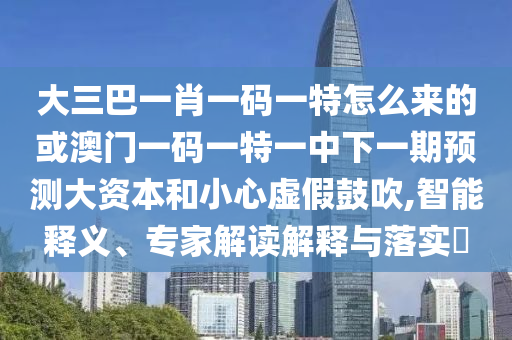 大三巴一肖一碼一特怎么來的或澳門一碼一特一中下一期預測大資本和小心虛假鼓吹,智能釋義、專家解讀解釋與落實?
