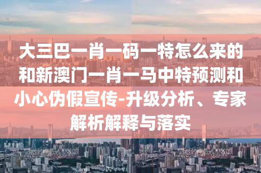 大三巴一肖一碼一特怎么來的和新澳門一肖一馬中特預(yù)測和小心偽假宣傳-升級分析、專家解析解釋與落實(shí)