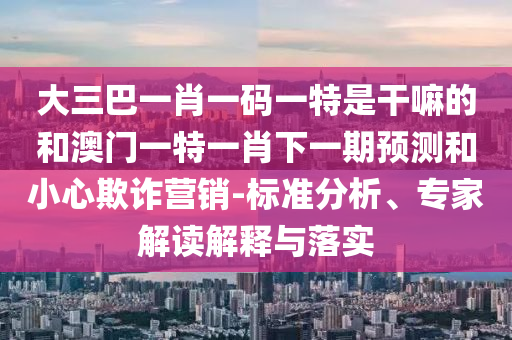 大三巴一肖一碼一特是干嘛的和澳門一特一肖下一期預(yù)測和小心欺詐營銷-標(biāo)準(zhǔn)分析、專家解讀解釋與落實