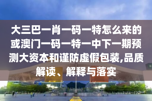大三巴一肖一碼一特怎么來的或澳門一碼一特一中下一期預(yù)測大資本和謹(jǐn)防虛假包裝,品質(zhì)解讀、解釋與落實(shí)