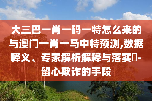 大三巴一肖一碼一特怎么來的與澳門一肖一馬中特預(yù)測(cè),數(shù)據(jù)釋義、專家解析解釋與落實(shí)?-留心欺詐的手段