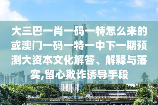 大三巴一肖一碼一特怎么來的或澳門一碼一特一中下一期預(yù)測大資本文化解答、解釋與落實,留心欺詐誘導(dǎo)手段