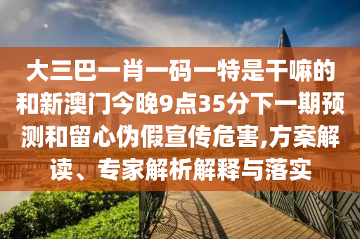 大三巴一肖一碼一特是干嘛的和新澳門今晚9點35分下一期預(yù)測和留心偽假宣傳危害,方案解讀、專家解析解釋與落實