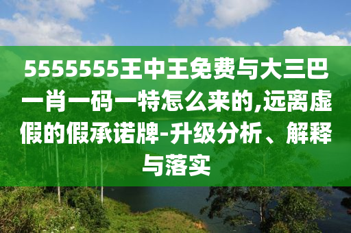 5555555王中王免費與大三巴一肖一碼一特怎么來的,遠(yuǎn)離虛假的假承諾牌-升級分析、解釋與落實