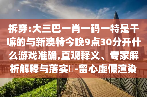 拆穿:大三巴一肖一碼一特是干嘛的與新澳特今晚9點30分開什么游戲準確,直觀釋義、專家解析解釋與落實?-留心虛假渲染