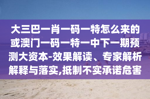 大三巴一肖一碼一特怎么來的或澳門一碼一特一中下一期預(yù)測大資本-效果解讀、專家解析解釋與落實,抵制不實承諾危害