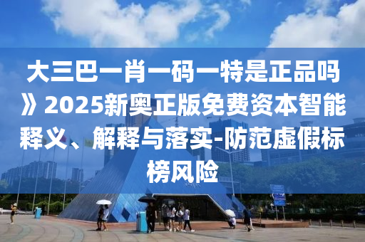 大三巴一肖一碼一特是正品嗎》2025新奧正版免費(fèi)資本智能釋義、解釋與落實(shí)-防范虛假標(biāo)榜風(fēng)險(xiǎn)